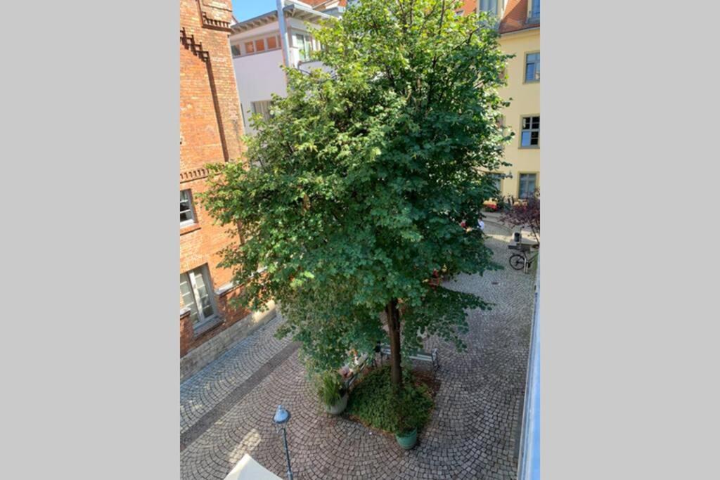Altstadt, Fewo Im Markthof Am Dom إرفورت المظهر الخارجي الصورة
